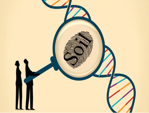 minerals, dna, iron oxides